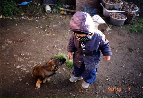 1990altai.jpg
